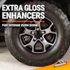 Extreme Tire Shine Aerosol Image 2