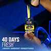 All Access Pass Hanging Air Freshener – Victory Lap Image 2