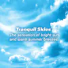Tranquil Skies™ Fragrance Diffuser Refill Image 2