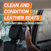 Leather Care Image 4